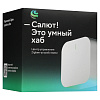 Умный хаб Sber SBDV-00068