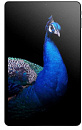 Планшет ARK AlLdocube T1012 (IPLAY 30) Helio P60 (2.2) 8C RAM4Gb ROM128Gb 10.5" IPS 1920x1200 3G 4G Android 10.0 черный 8Mpix 5Mpix BT GPS WiFi Touch