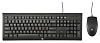 Keyboard and Mouse HP Wired Combo C2500 (Black) cons