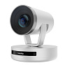 nearity v403