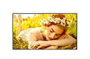 Профессиональный дисплей Профессиональный дисплей LG 86UL5Q-M: UHD; 24/7; 500 кд/м2; Коэффициент матовости экрана 1%; ОС webOS 6.1; Wi-Fi; Динамики 10