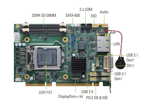 SHB250RDGG-H310
