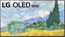 Телевизор OLED LG 65" OLED65G1RLA.ADGG серебристый 4K Ultra HD 120Hz DVB-T DVB-T2 DVB-C DVB-S DVB-S2 WiFi Smart TV