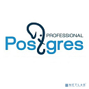 Лицензия СУБД Postgres Pro Certified на 1 ядро x86-64 (зарегистрировано в ЕДИНОМ РЕЕСТРЕ российских программ для ЭВМ и БД под рег. № 104)