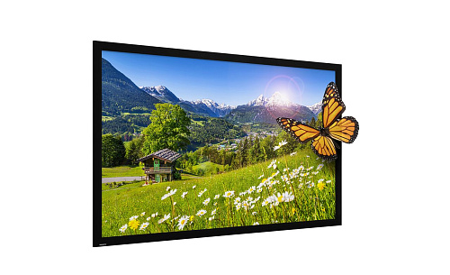 [10600615 / 10690487] Экран Projecta HomeScreen Deluxe 173x296см (126") HD Progressive 1.1 Perforated 16:9