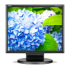 NEC 17" E172M-BK LCD Bk/Bk (TN; 5:4; 250cd/m2; 1000:1; 5ms; 1280x1024; 170/170; VGA; DP; HDMI; HAS 50 mm; Tilt; Spk 2*1W)
