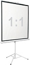 Экран Digis 84" 150x150см Kontur-D DSKD-1103 1:1 напольный рулонный