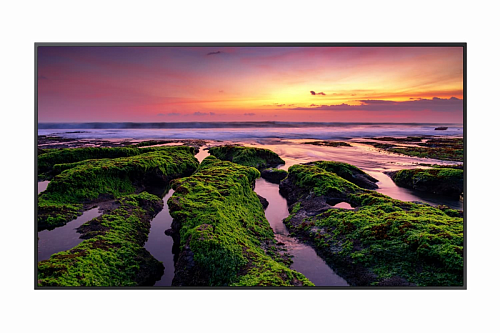 професиональный дисплей Samsung 75" QB75B