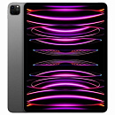 Apple iPad Pro 2022 12.9" 128Gb Wi-Fi + Cellular A2764 12.9", 8ГБ, 128GB, 3G, 4G, iOS серебристый [MP5Y3LL/A, 102PRO126C128SLV]