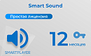 Простая (неисключительная) лицензия на Программу для ЭВМ Платформа SmartPlayer, тариф Smart Sound [SmartSound-1Y-Saas] SmartPlayer [27.03022021] Воспр