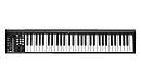 MIDI клавиатура [110105A2026] Icon [iKeyboard 6S] встроенный аудиоинтерфейс 24 бит/192 кГц, 61 полувзвешенная клавиша фортепианного типа, XLR микр. вх