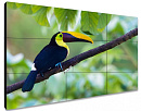 ЖК-панель для видеостен Exell EXPD-WA55AB35 55"