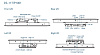 CS-117C/P1001