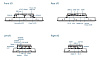 CV-W115C/P1101-N42