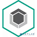 KL4863RARFW Kaspersky Endpoint Security для бизнеса – Стандартный Russian Edition. 100-149 Node 1 year Cross-grade License - Лицензия