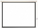 Экран Lumien 244x244см Eco Control LEC-100104 1:1 настенно-потолочный рулонный (моторизованный привод)
