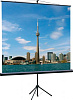 Экран на треноге Lumien 180x180см Eco View LEV-100102 1:1 напольный рулонный черный