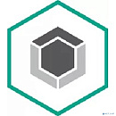 Лицензия для ОАУСО "Боровичский КЦСО" [KL4863RAPFR-36шт]