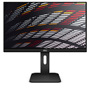 монитор 24" AOC X24P1 1920x1200, LED, 16:10, IPS, 300cd, 1000:1, 50M:1, 4ms, 178/178, D-Sub, DVI, HDMI, DP, 4*USB2.0, 60Hz, Speakers, HAS, Pivot, Tilt