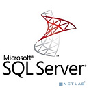 ПО Microsoft SQL Svr Standard Edtn 2019 English DVD 10 Clt (228-11548)