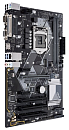 ASUS PRIME H310-PLUS R2.0, LGA1151v2, H310, 2*DDR4, D-Sub + HDMI, SATA3, Audio, Gb LAN, USB 3.1*4, USB 2.0*6, COM*1, LPT*1, ATX ; 90MB0ZV0-M0EAY0