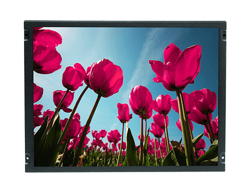 DLD1568-INB-Q01