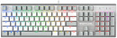 Клавиатура A4Tech Fstyler FS100 Neon механическая серый/белый USB for gamer LED (FS100)