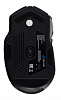Мышь GMNG XM001 черный оптическая (16000dpi) беспроводная USB/USB-C (8but)