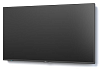 Nec P555