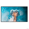 Панель Hisense 50DM66D 50", черный