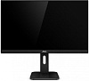 Монитор AOC 24" Professional X24P1(00/01) черный IPS LED 16:10 DVI HDMI M/M матовая HAS Piv 1000:1 300cd 178гр/178гр 1920x1200 60Hz VGA DP FHD USB 5.5