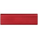 Накопитель SSD Patriot USB-C 1TB PTPL1TBPEC Lite Transporter 2.5" красный