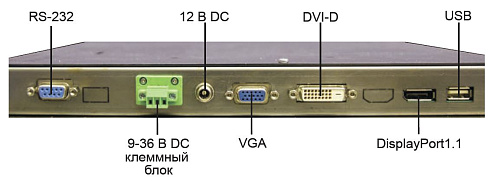 DNA-17-B