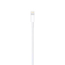 MXLY2ZE/A Apple USB to Lightning Cable 1m A1480