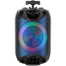 Ginzzu GM-223 {(V5.0), 40Вт, 150Гц- 18кГц, USB-flash, microSD-card, FM-радио, пульт ДУ, батарея 3,6В/3600мАч, эквалайзер}