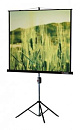 Экран на треноге Lumien 105" 220x165см Master View LMV-100113 4:3 напольный рулонный