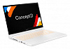 Трансформер Acer ConceptD 3 Ezel Pro CC314-72P-76ST Core i7 10750H 16Gb SSD1Tb NVIDIA Quadro T1000 4Gb 14" IPS Touch FHD (1920x1080) Windows 10 Profes