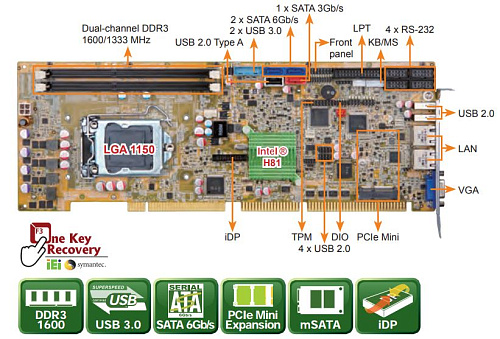 WSB-H810