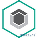 KL4863RAPFW Kaspersky Endpoint Security для бизнеса - Стандартный 25-49 users Cross-grade License