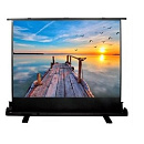 Экран Cactus 113x200 FloorExpert CS-PSFLE-200X113 16:9 напольный рулонный