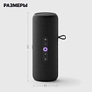 Умная портативная колонка Яндекс Станция Стрит с Алисой, чёрная, YNDX-00030BLK