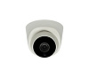 Tantos TSi-Eeco25FP - 2 мегапиксельная IP камера