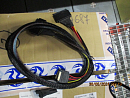 кабель Cable, x8 SFF-8654 to 2xU.2 SFF-8639, 0,8M (analog 05-60005-00 / ACD-60005-ZC)