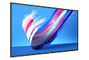 Профессиональный дисплей Philips [50BDL3650Q/00] 3840х2160, 4000:1, 400кд/м2, Android 10