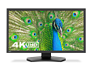 NEC 31.5" PA311D-BK LCD Bk/Bk (Native 4k 4096x2160, IPS display, HDR, 2xHDMI, DP, USB-C, LAN)
