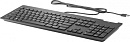 Клавиатура HP SmartCard RUSS механическая черный USB slim