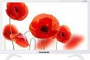 Телевизор LED Telefunken 21.5" TF-LED22S63T2 белый/FULL HD/50Hz/DVB-T/DVB-T2/DVB-C/USB (RUS)