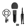 RITMIX RDM-160 Black {конденсаторный}