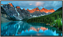 Dell 55" C5519QA 54,6", 3840x2160 UHD, VA, 16:9, 350 кд/м, 8мс, 4000:1, SP 2x10w (210-BFUB)