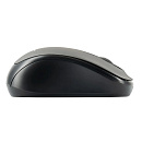 Acer OMR134 [ZL.MCEEE.01H] серый оптическая (1000dpi) беспроводная USB для ноутбука (2but)